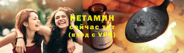 прущие грибы Баксан