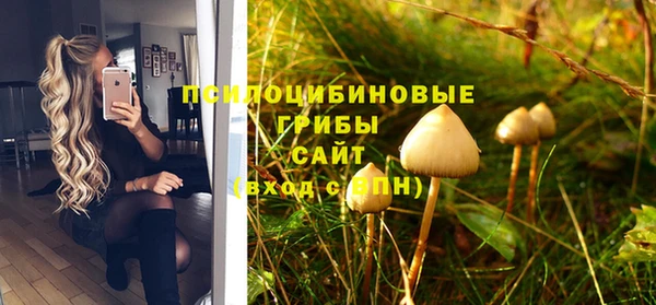 стафф Балахна