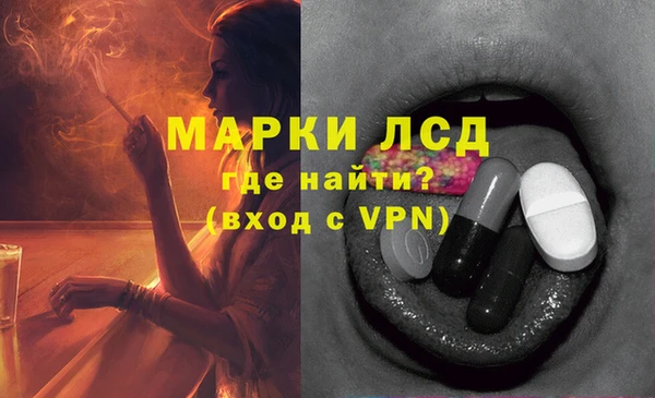прущие грибы Баксан