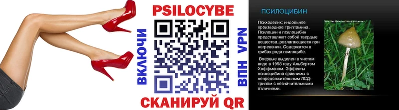 Галлюциногенные грибы Psilocybine cubensis  Макушино 